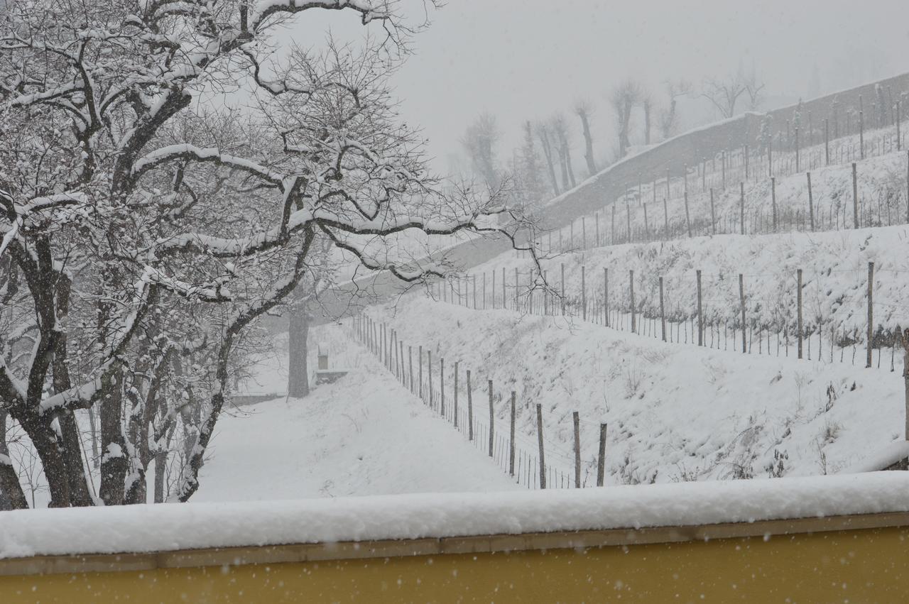 Villa Biondelli Wine & Suites Cazzago San Martino Eksteriør billede